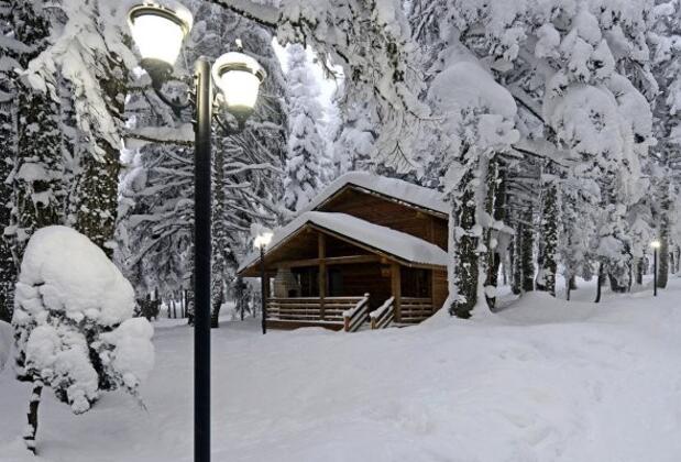 Karinna Çobankaya Ahşap Orman Köşkleri - Görsel 3