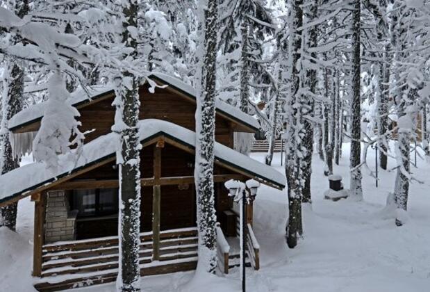 Karinna Çobankaya Ahşap Orman Köşkleri - Görsel 5