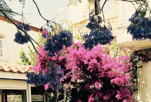 Bandha Alacati - Görsel 12