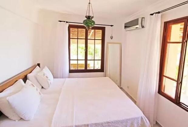 Kaktüs Ada - Görsel 3