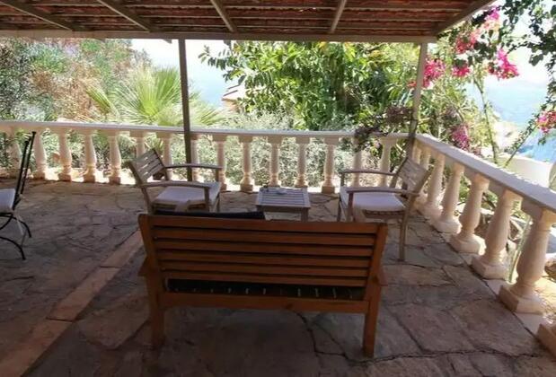 Kaktüs Ada - Görsel 6