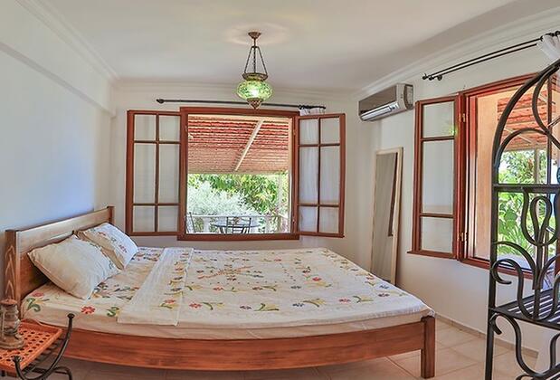 Kaktüs Ada - Görsel 4