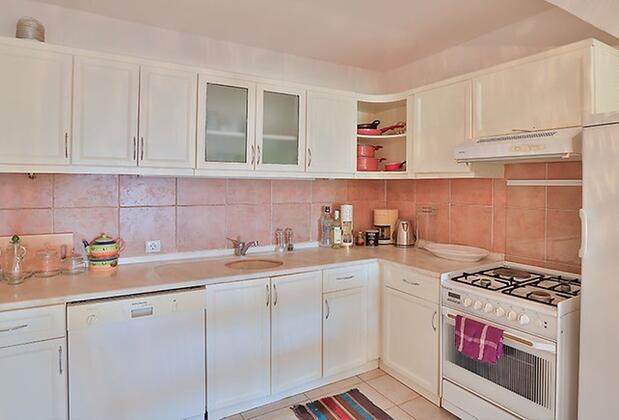 Kaktüs Ada - Görsel 10