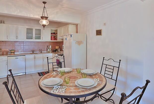 Kaktüs Ada - Görsel 9