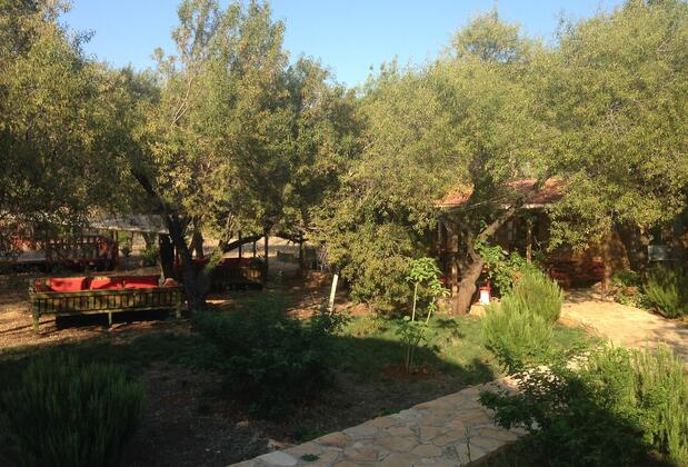 Hotel Narnia - Görsel 6