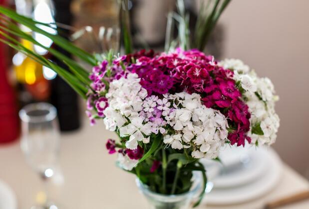 Garden Suite Hotel - Görsel 11