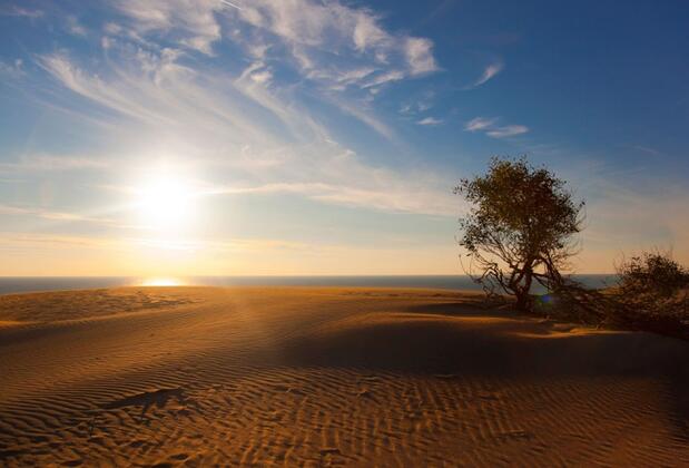 Sisyphos Hotel - Görsel 7