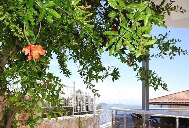 Villa Teoman - Görsel 6