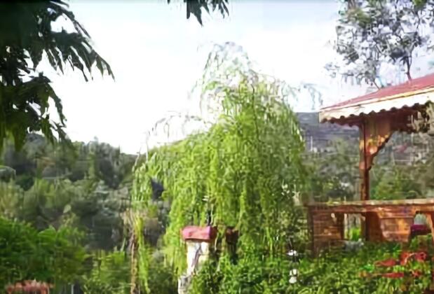 Hidden Garden - Görsel 7