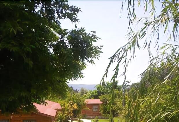 Hidden Garden - Görsel 10