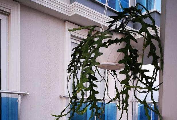 Cemre Apart - Görsel 13