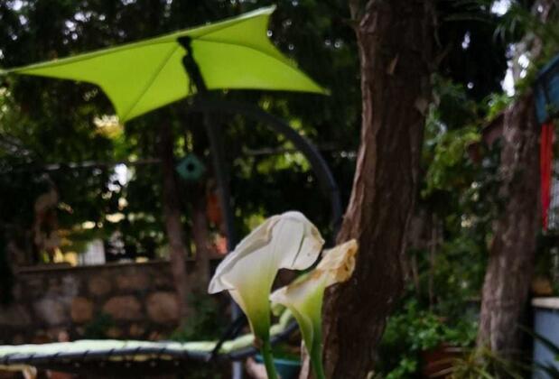 Merve Butik Otel - Görsel 10