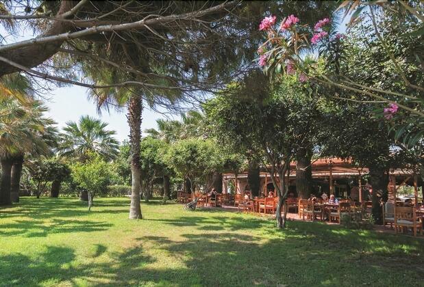 Defne Ana - Görsel 4