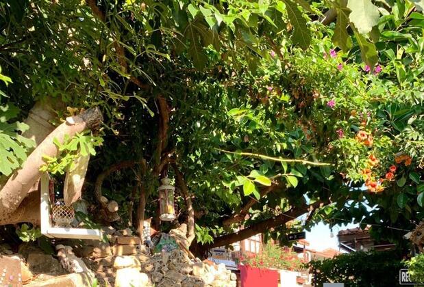 Antonios Motel - Görsel 9