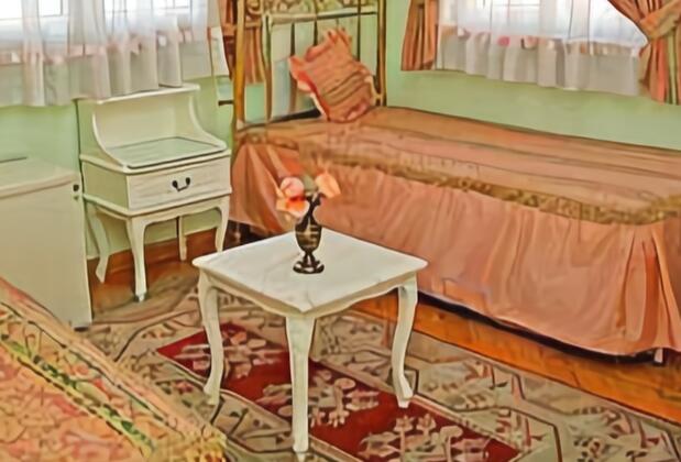 Aşkın Hotel - Görsel 5