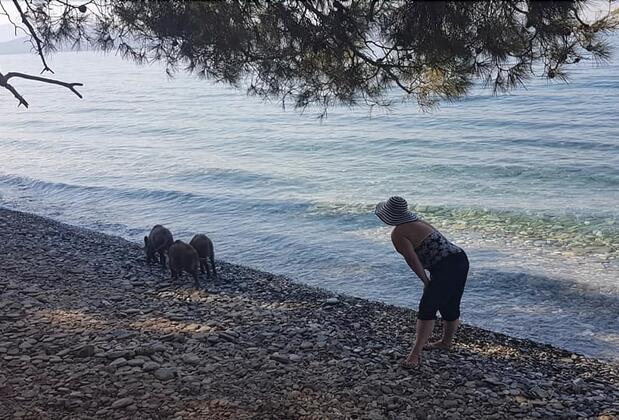 Domizil Lina Art - Görsel 5