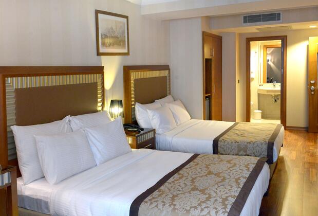 Nova Plaza Park Hotel - Görsel 16