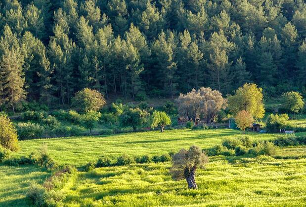 Apsara Suites - Görsel 8