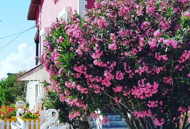 Çiftlik Butik Otel - Görsel 8