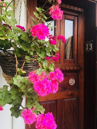 Amazon Petite Palace - Görsel 21