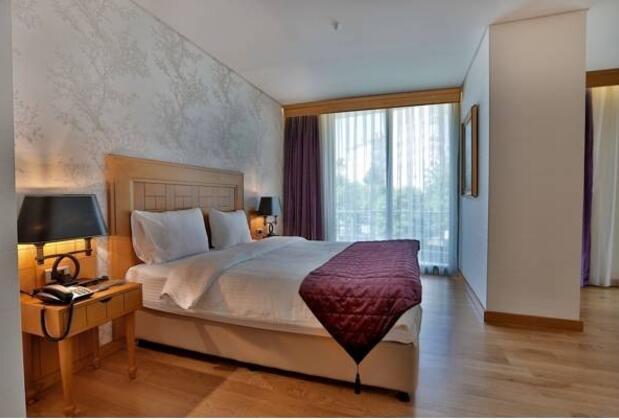 Queen Hotel & SPA - Görsel 13