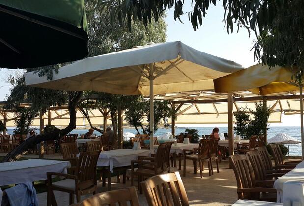 Teos Ormancı Tatil Köyü - Görsel 7