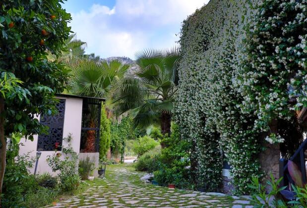 Hotel 212 Olympos - Görsel 4