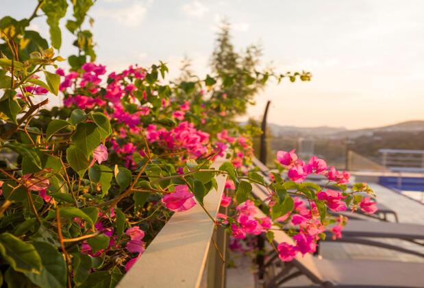 Spektr Hotel Bodrum - Görsel 6