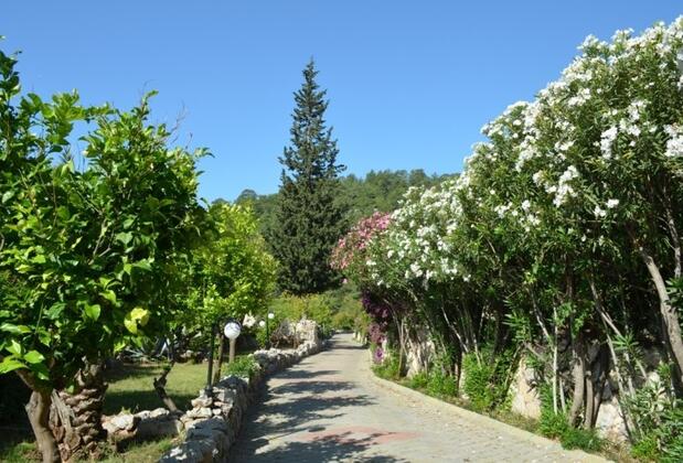 Paradise Garden Hotel - Görsel 8