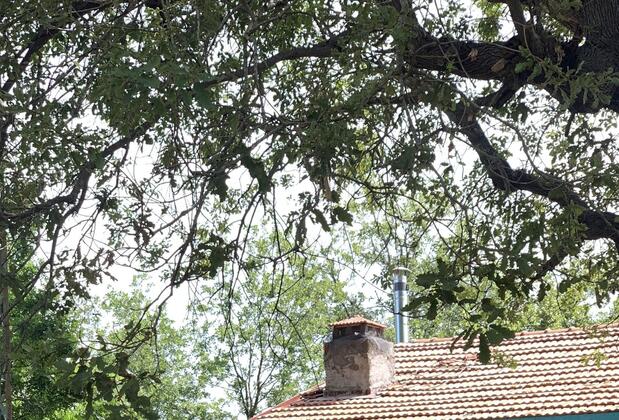 Pusula Bungalow Hotel - Görsel 13