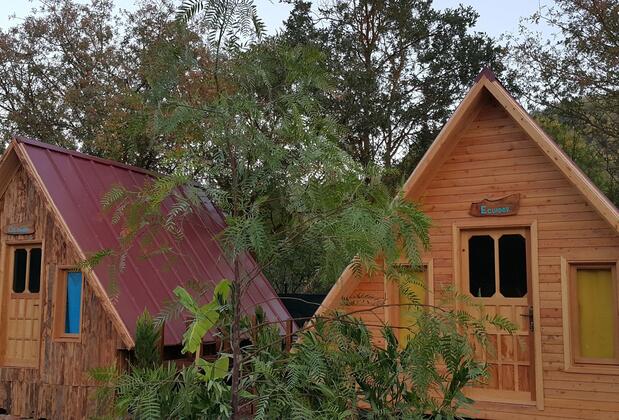 Pusula Bungalow Hotel - Görsel 5