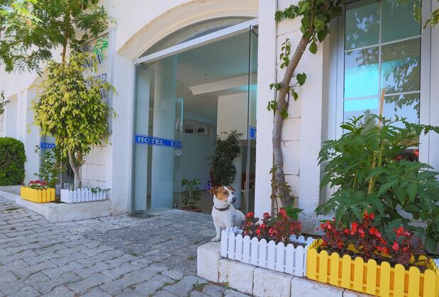 Linda Beach Hotel - Görsel 13