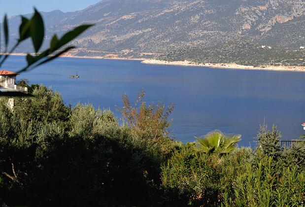 Villa Basil - Görsel 13