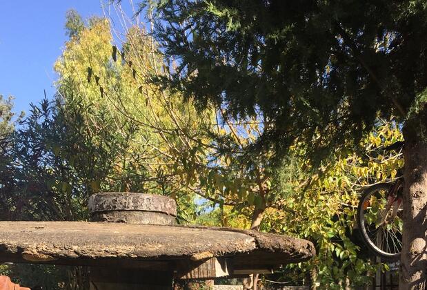 Utopia Lodge Hotel - Görsel 6