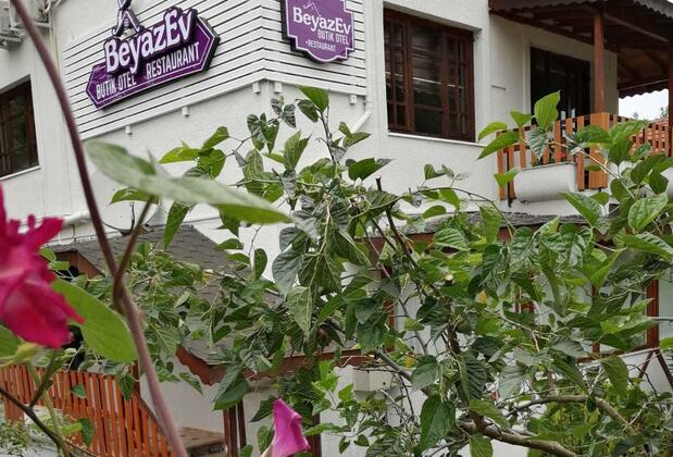 Beyaz Ev Butik Otel Maşukiye - Görsel 8