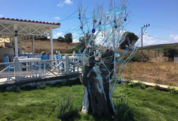 Mylos Otel - Görsel 9