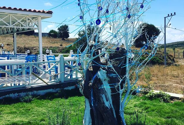 Mylos Otel - Görsel 12