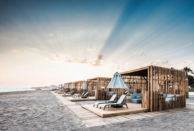 Paloma Finesse - Görsel 21