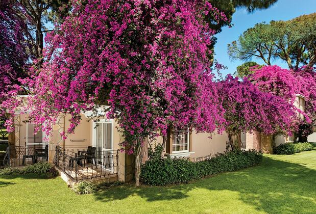 Pine Beach Belek - Görsel 8