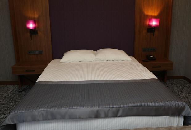 Business Palas Hotel - Görsel 13