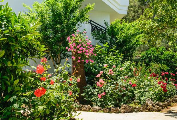 Naturella Hotel & Apart - Görsel 13