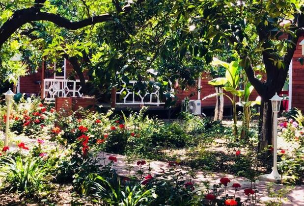 Eliz Inn Garden Apart & Otel - Görsel 13