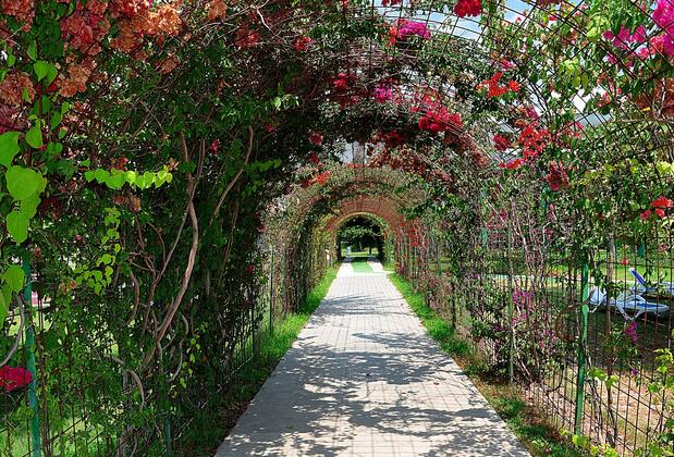 Daima Resort Hotel - Görsel 37