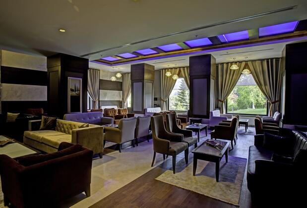 Abant Palace Oteli - Görsel 24