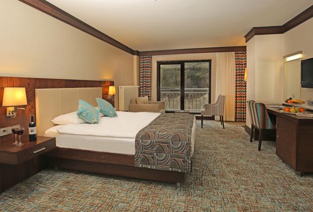 Abant Palace Oteli - Görsel 6