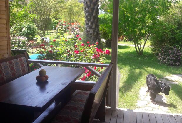 Anatolia Resort - Görsel 7