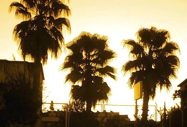 Tuncer Garden Hotel - Görsel 24