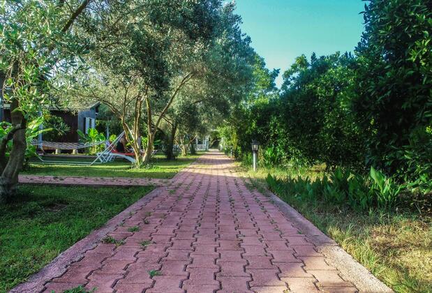 Çıralı Zakkum Bungalow - Görsel 18