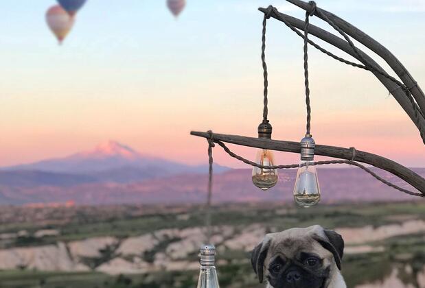 Wish Cappadocia - Görsel 22