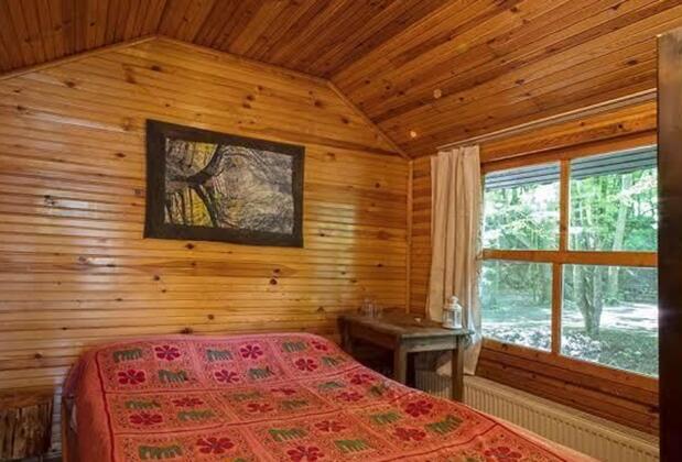 Dikili Papaya Evleri - Görsel 3